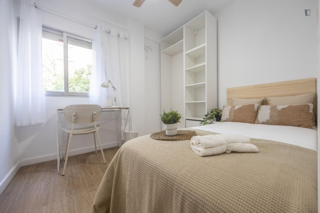 Beautiful Single bedroom in 3-bedroom apartment - Valence - chambre - ImmoJeune