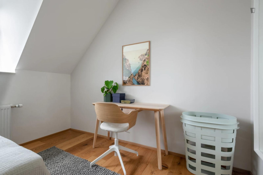 Cosy single bedroom in shared flat in Frederiksberg