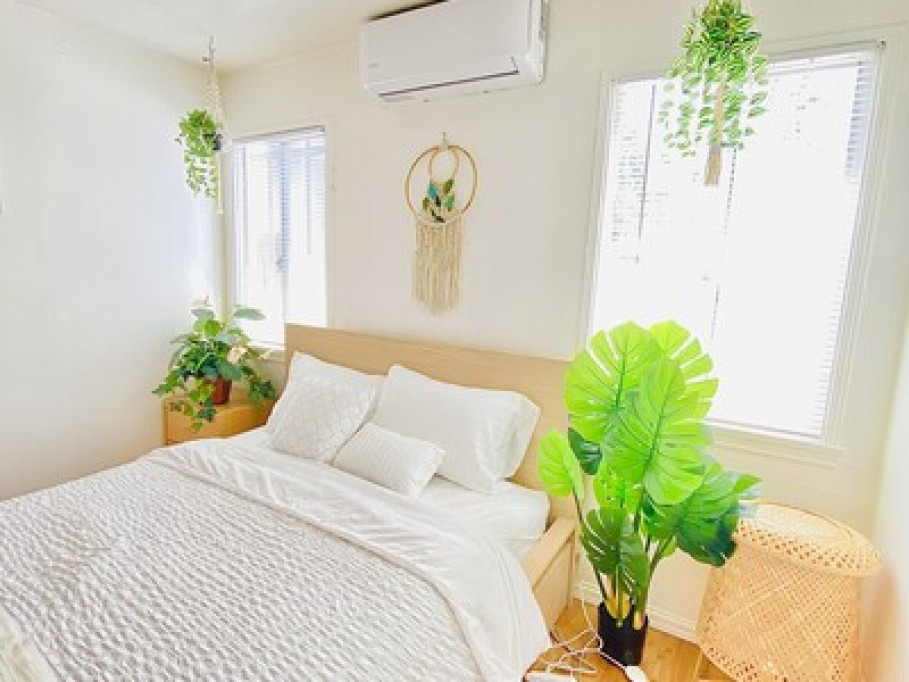 Lincies House