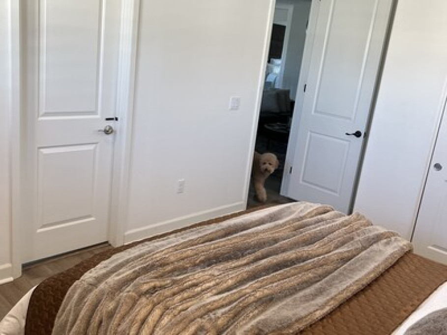 Rooms for rent