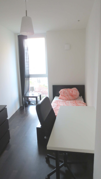 Zimmer in der Bernhard-Weiß-Straße -