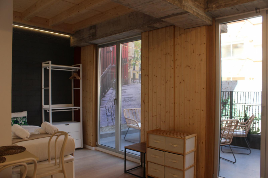 Attractive studio with a terrace, in Guindalera - Madrid - chambre - ImmoJeune