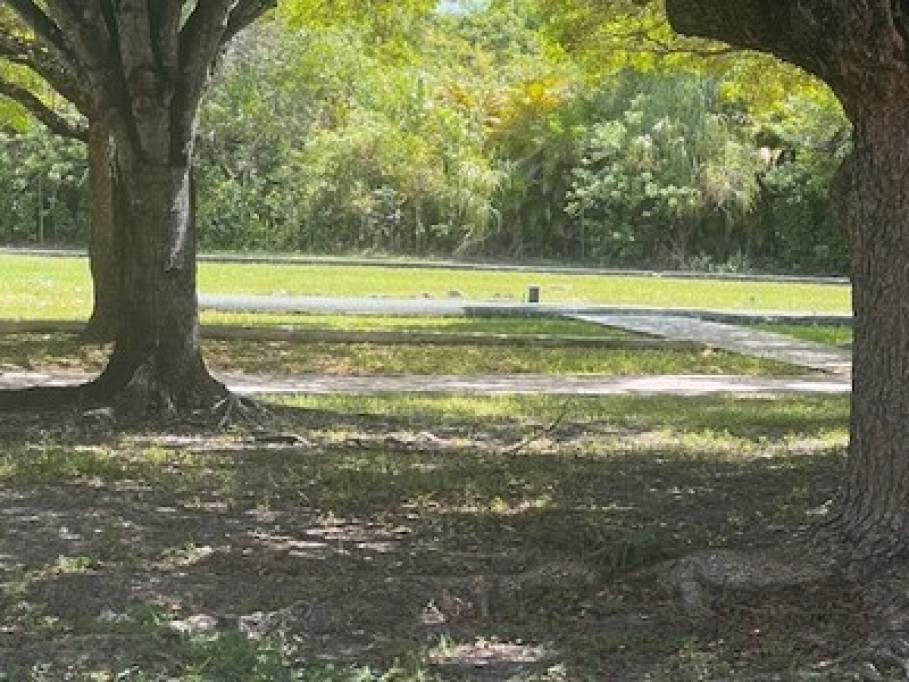 Peaceful area in Miami
