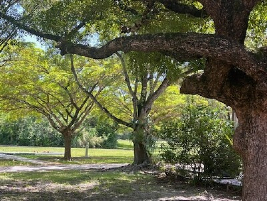 Peaceful area in Miami