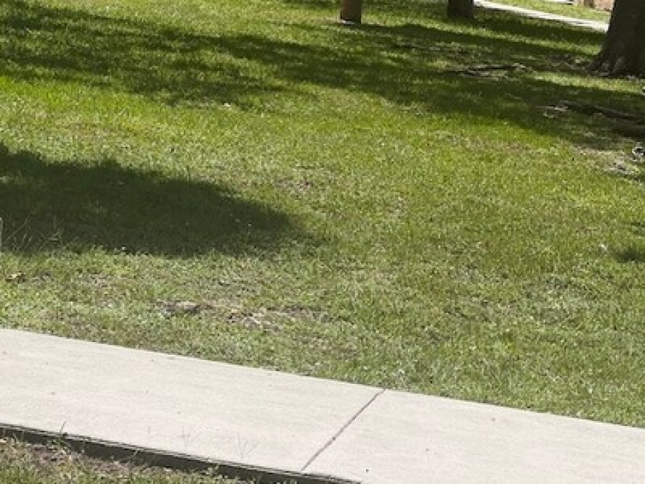 Peaceful area in Miami