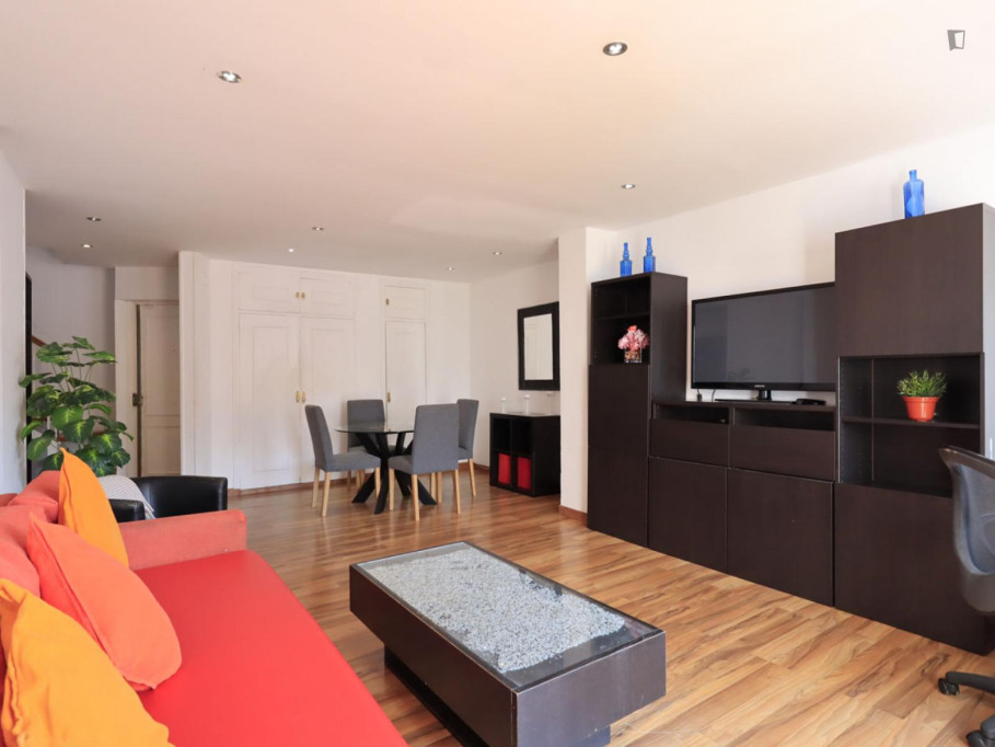 Bright 1 bedroom apartment in Sol - Madrid - chambre - ImmoJeune