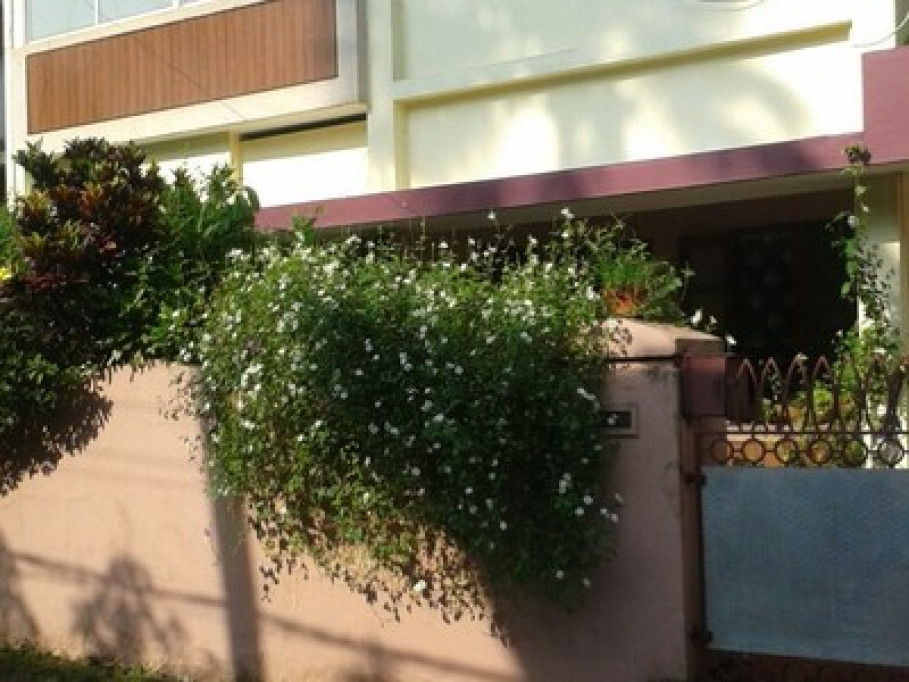 GRACE VILLA 