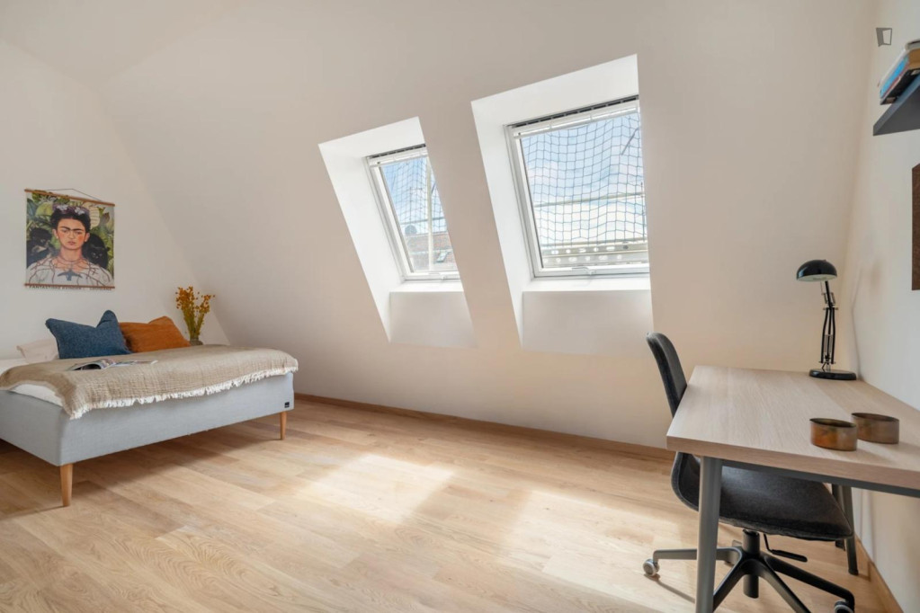 Pleasant single bedroom in shared flat in vibrant Maxvorstadt - Munich - chambre - ImmoJeune