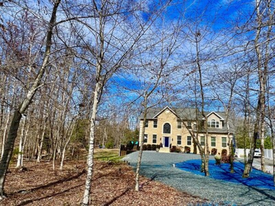 Idyllic Woodsy Retreat near DC