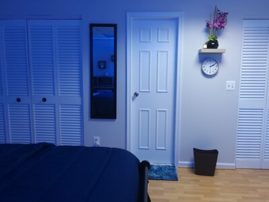 A Clean & Comfortable 1 Bedroom 