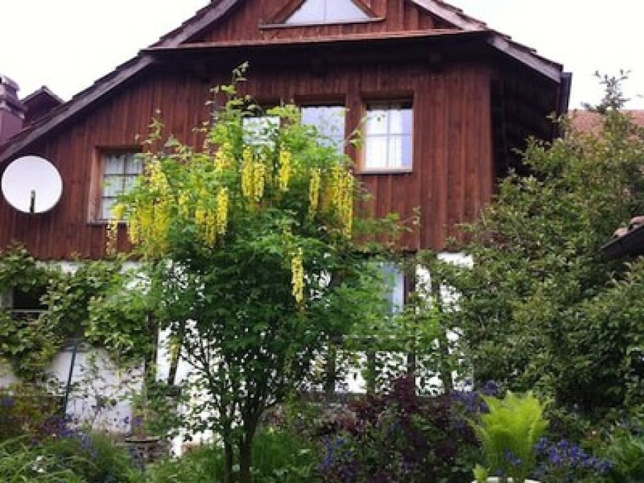 Tranquil, cosy with alpine views