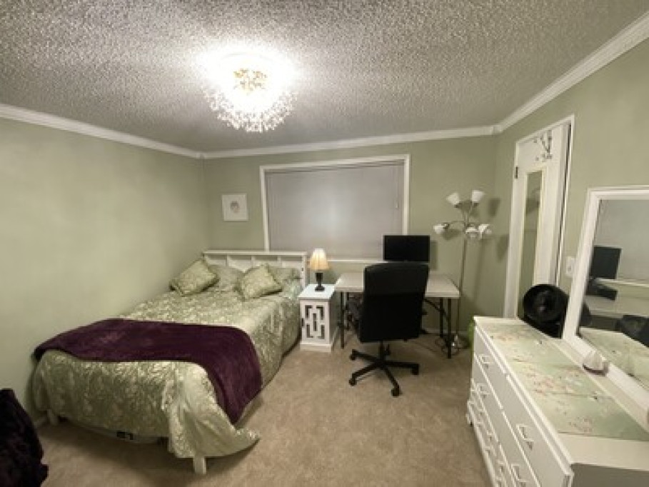 Shireen's Stay in  Comfort  & Style