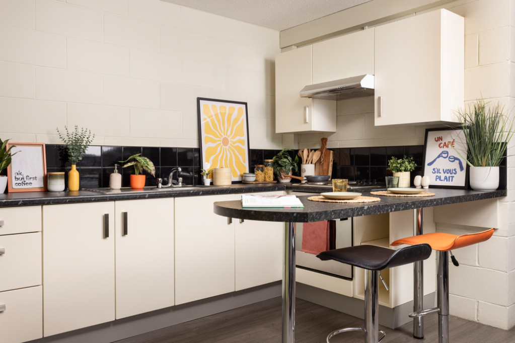 Spring Gardens - Aberdeen - chambre - ImmoJeune