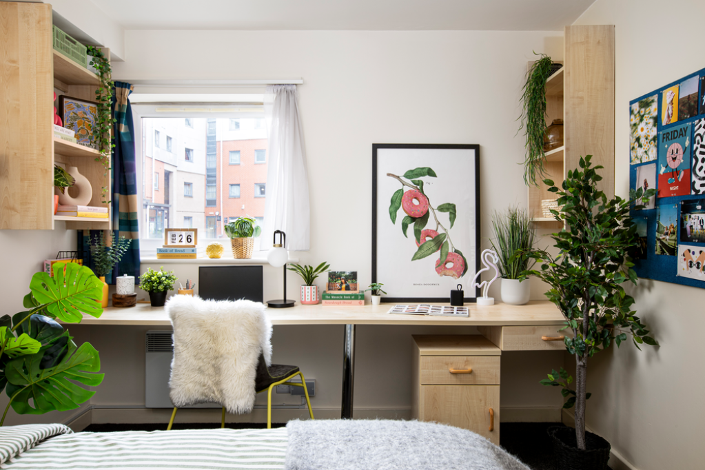 Curzon House - Nottingham - chambre - ImmoJeune