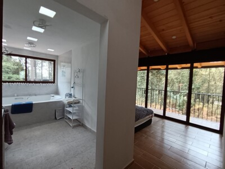 New spacious house in the forest 