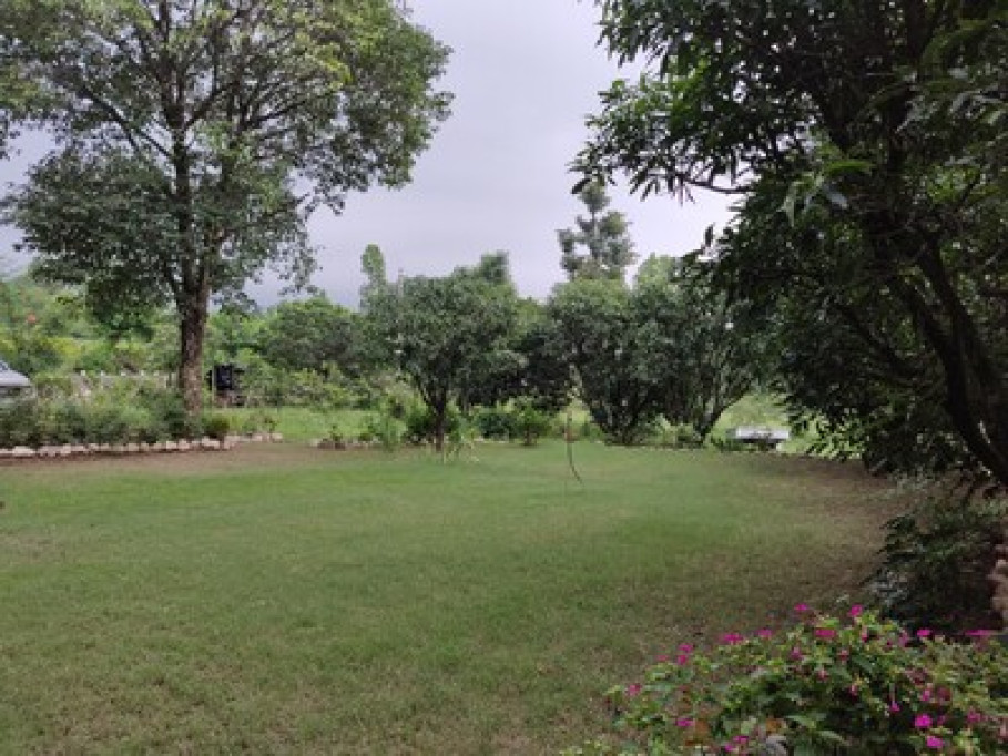 Lumbini Grove
