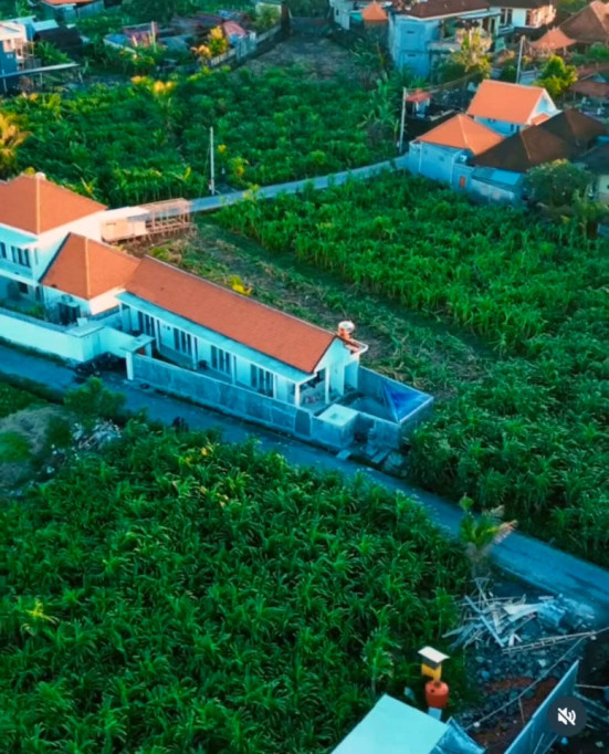 Vibrant Coliving Villa in Canggu: Work, Surf & Connect in Bali's Tropical Paradise