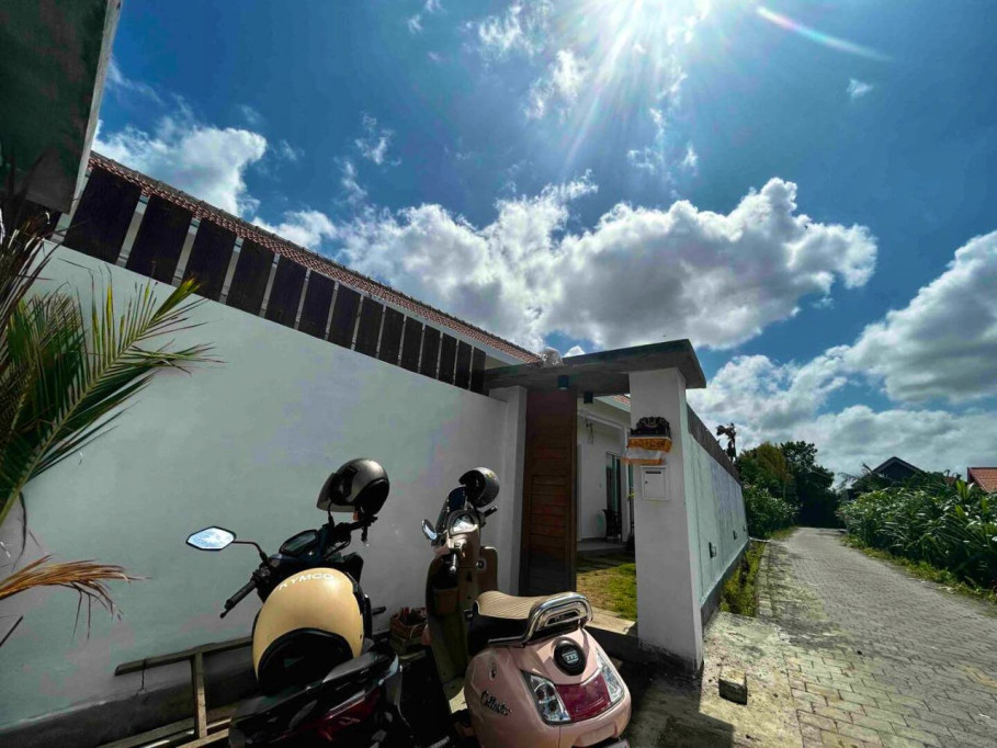 Vibrant Coliving Villa in Canggu: Work, Surf & Connect in Bali's Tropical Paradise
