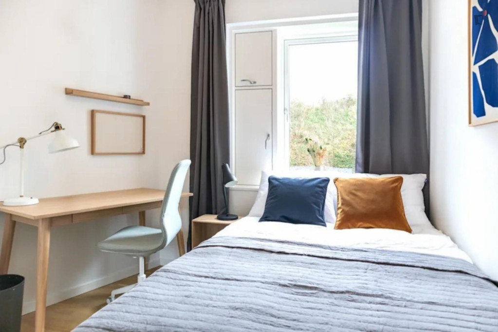 Cosy single bedroom in shared flat in Holmen