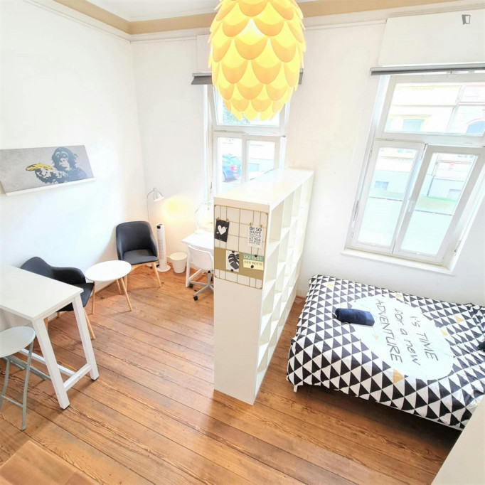 Luminous double bedroom with a kitchenette, near the Beuel train station - Bonn - chambre - ImmoJeune