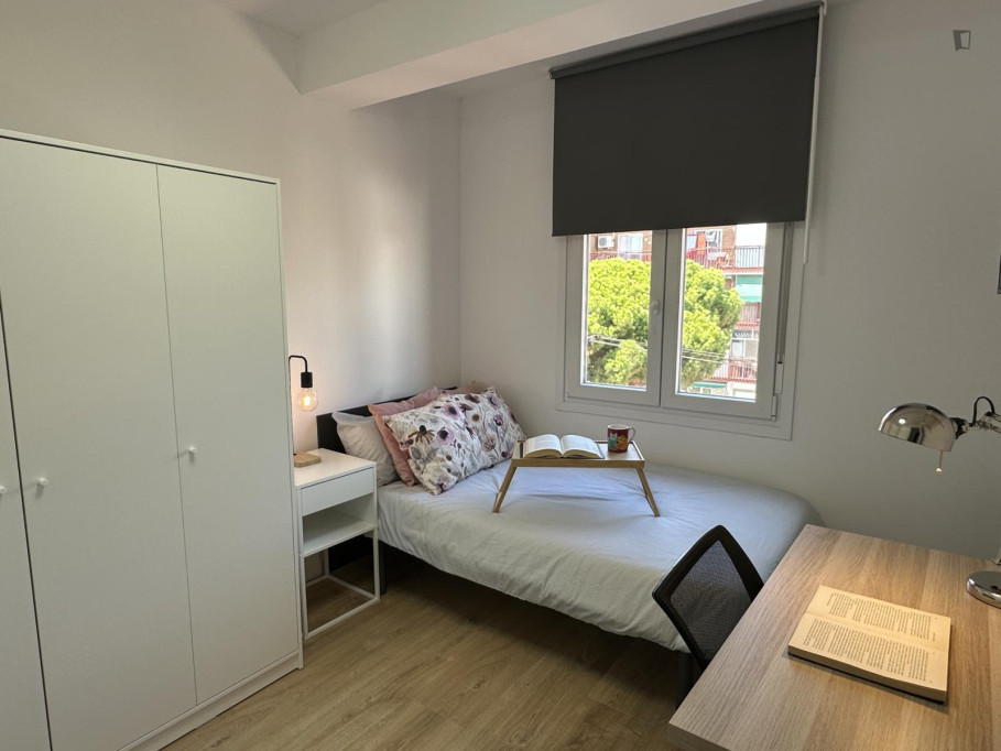 Bright single bedroom in Vista Alegre - Madrid - chambre - ImmoJeune