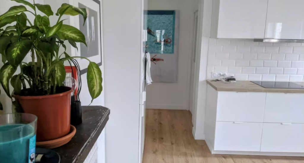 Bright apartment 47 m2 Batignoles