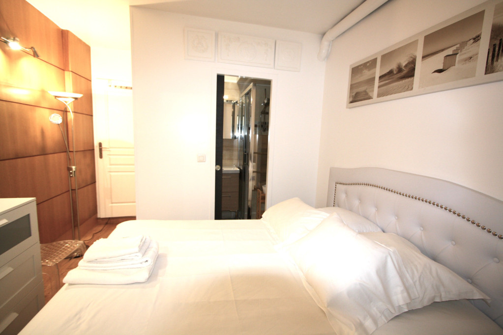 Cosy apartment 2 rooms private Rue saint Charles 75015 Paris disponible en MAY