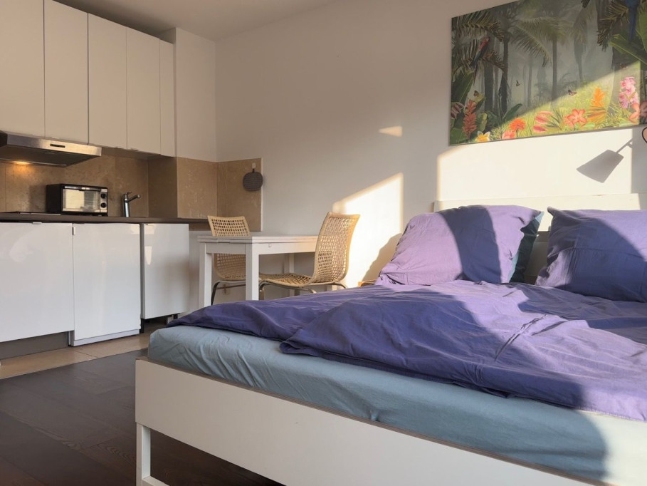 Charming light flooded apartment