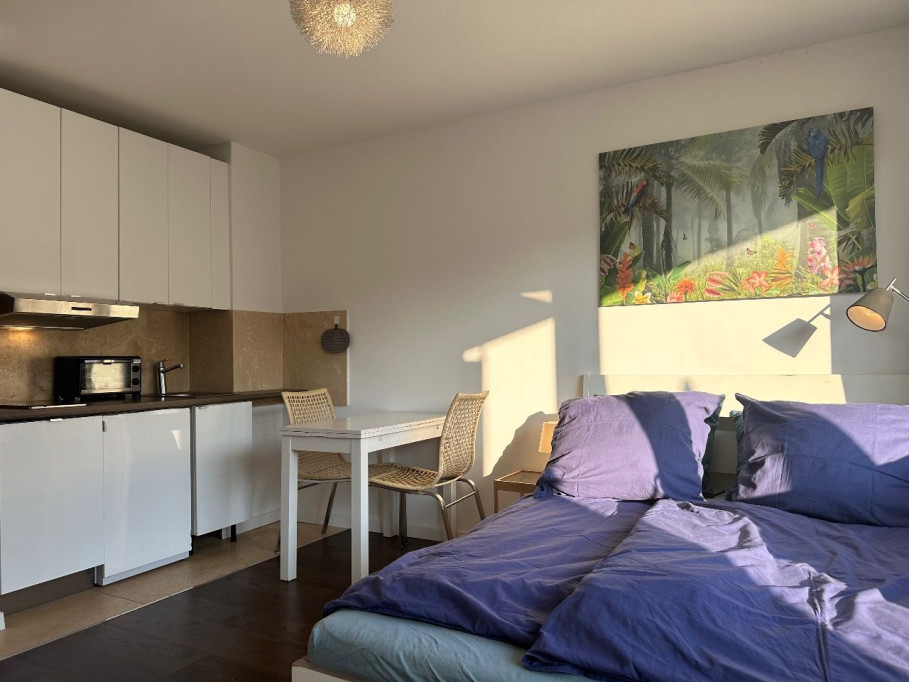 Charming light flooded apartment