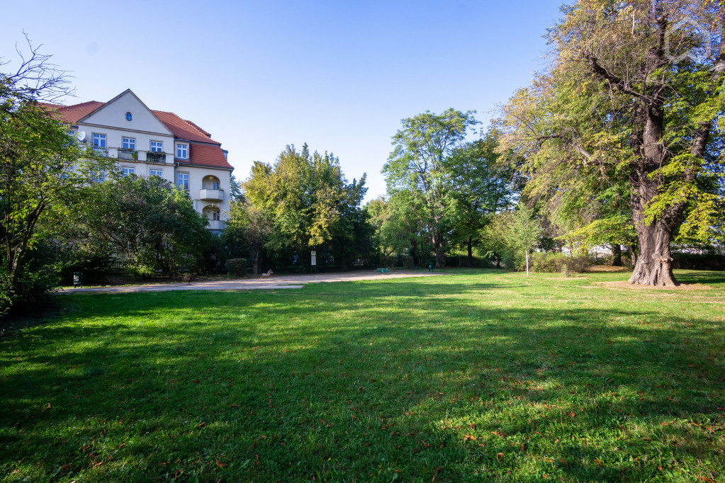 Charming apartment in Dresden