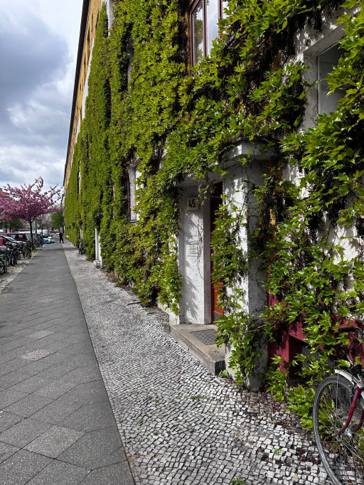 New and quiet home located Prenzlauer Berg