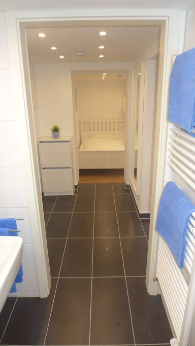 Neuenheim, 2 rooms, 1 km university, 400m, Neckar, newly renovated / furnished