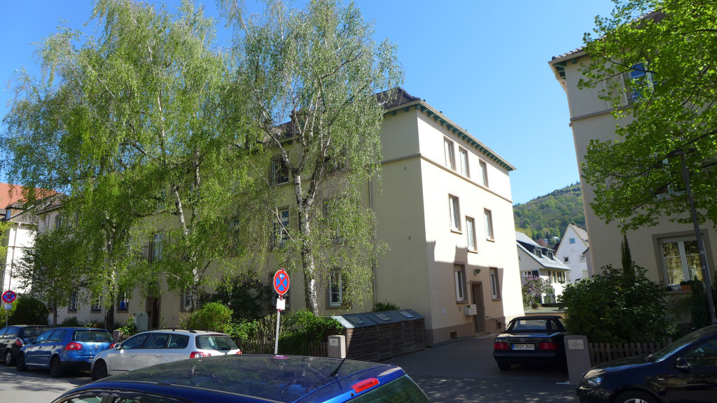 Neuenheim, 2 rooms, 1 km university, 400m, Neckar, newly renovated / furnished