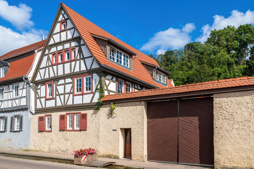 Suite #2 - exclusive business suite in a landmarked shared house (Bensheim Auerbach)