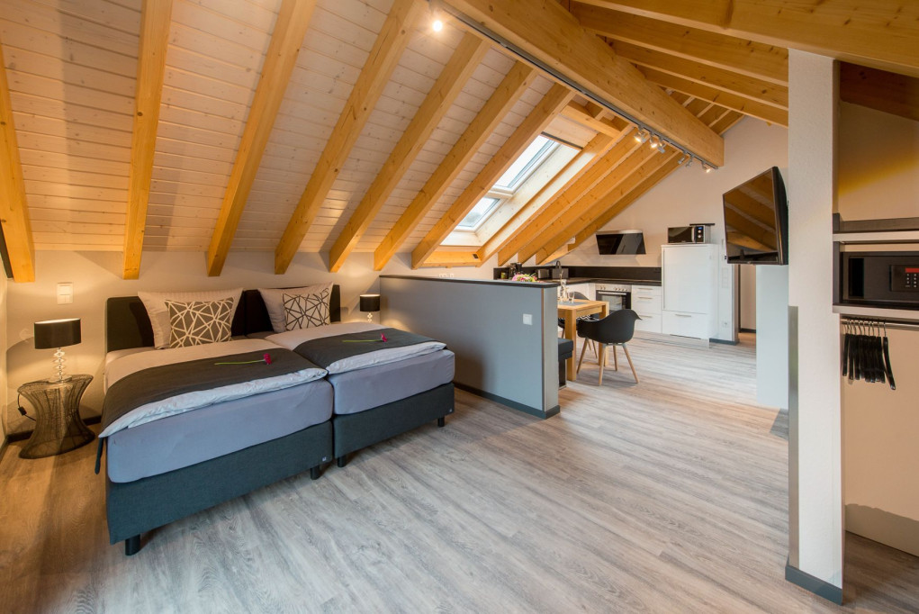 Premium vacation apartment "Dach-Loft" - quiet & great studio apartment in Bensheim