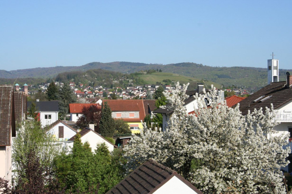 Premium suite "Cappuccino" - Charming and fashionable apartment in Bensheim Bergstrasse