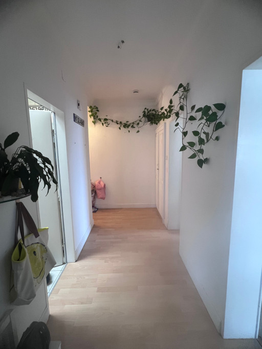 Gorgeous and wonderful flat in München