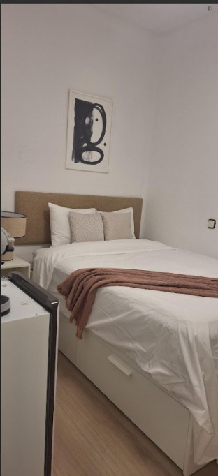 Bright double bedroom in Palacio - Madrid - chambre - ImmoJeune