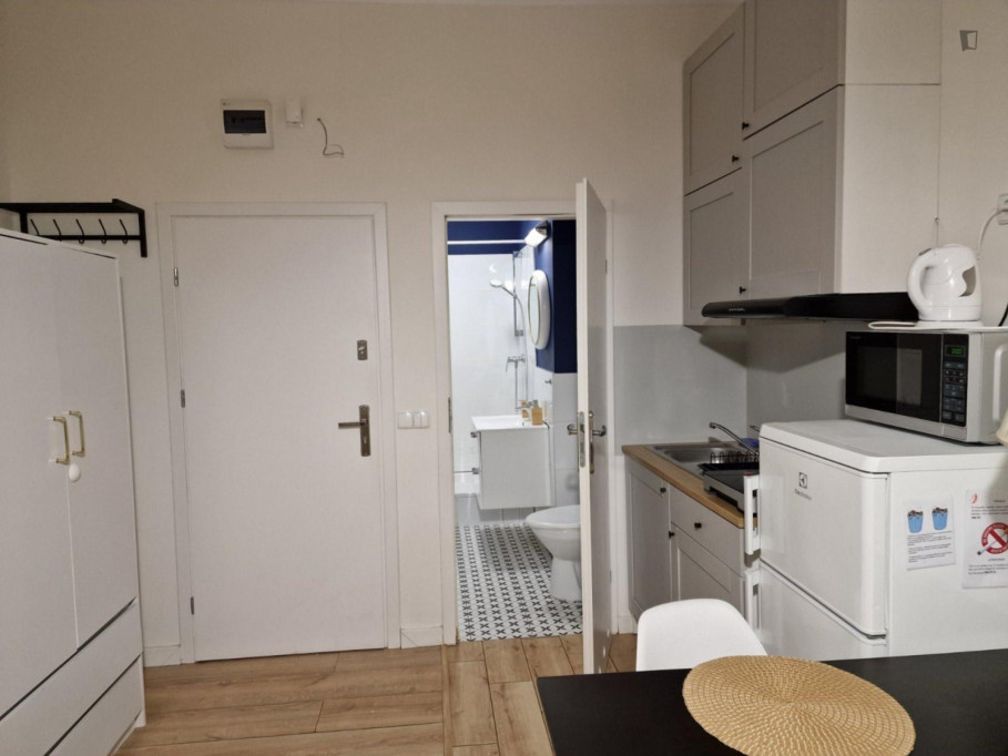 Very neat studio in Szczęśliwice