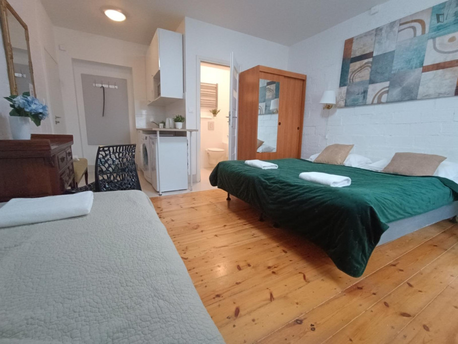 Snug studio in Powiśle