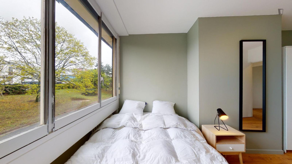 Interesting double bedroom in Fontenay-sous-Bois