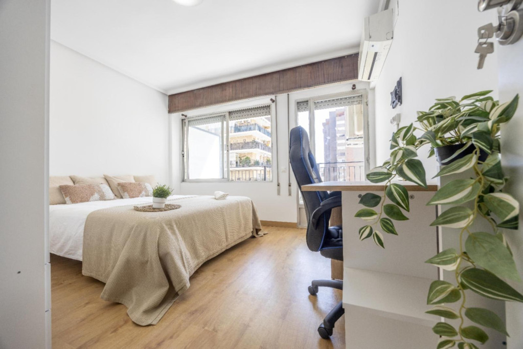 Spacious double bedroom near Universitat de València - Valence - chambre - ImmoJeune