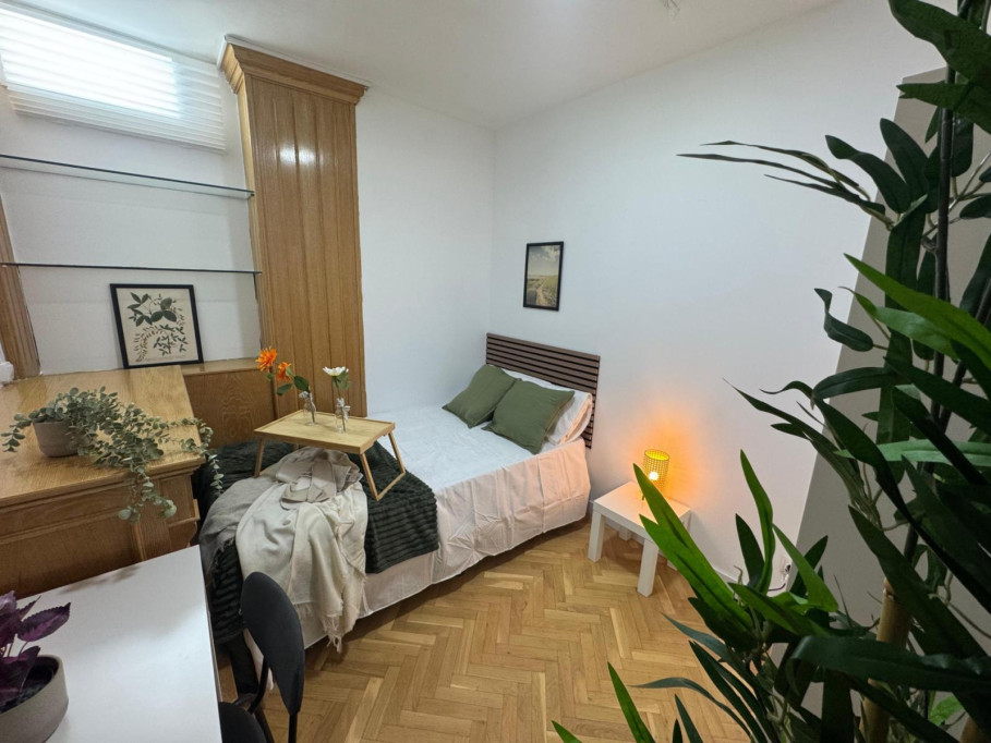 Cosy single bedroom in a 6 bedroom apartment - Madrid - chambre - ImmoJeune