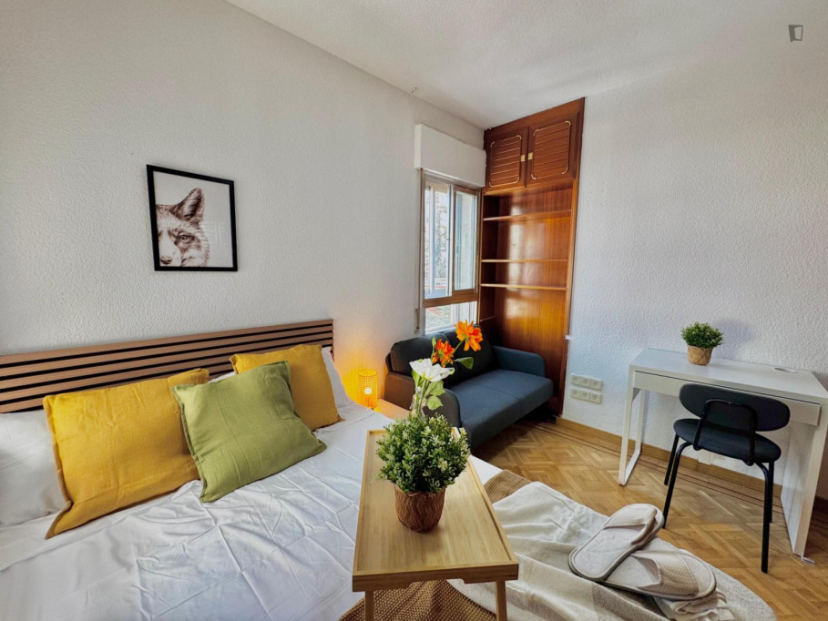 Excellent double bedroom in a 6 bedroom apartment - Madrid - chambre - ImmoJeune