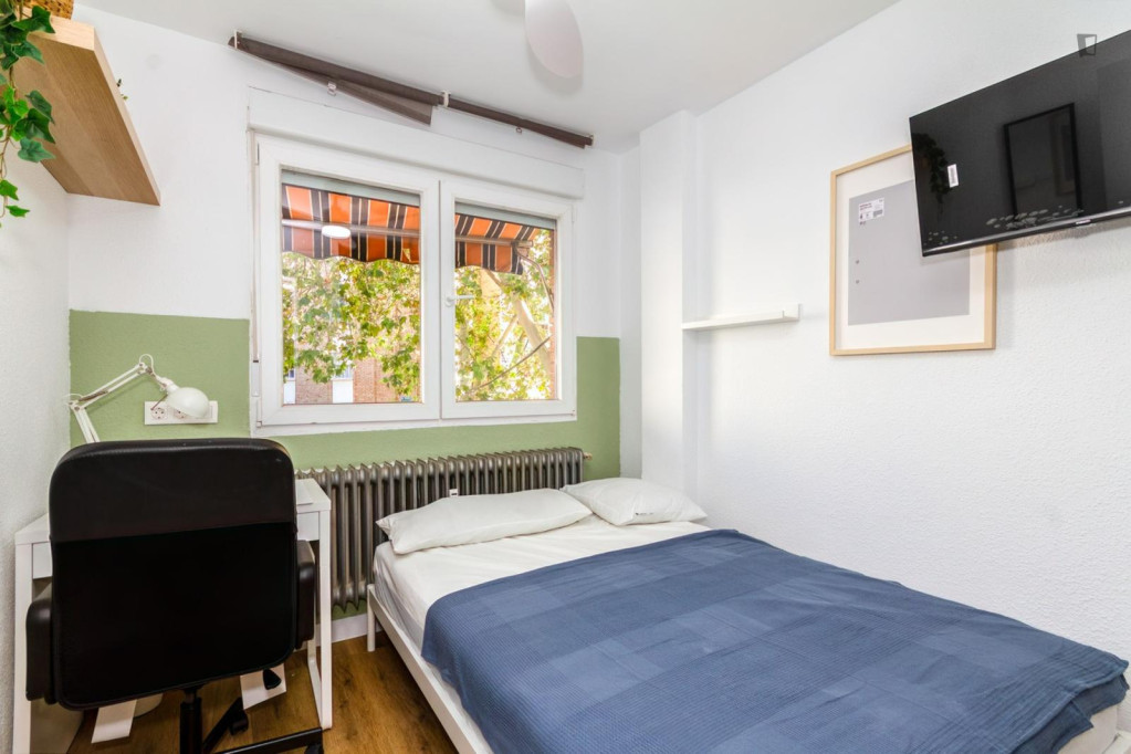 Great looking single bedroom - Madrid - chambre - ImmoJeune