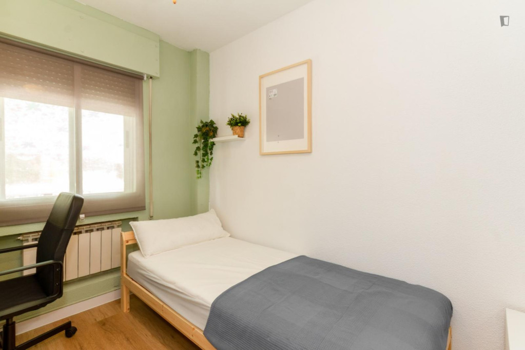 Cozy single bedroom in a property with balcony - Madrid - chambre - ImmoJeune