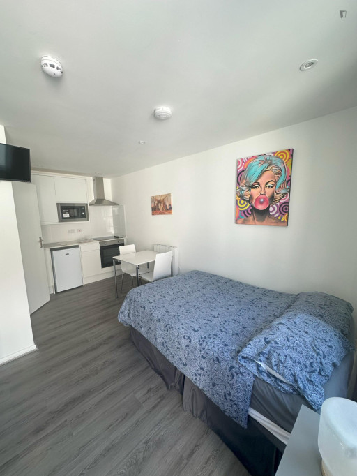 Very comfy studio in Cricklewood - London - chambre - ImmoJeune