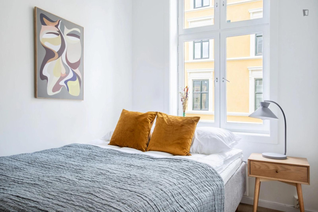 Very cool double bedroom in Grünerløkka - Oslo - chambre - ImmoJeune