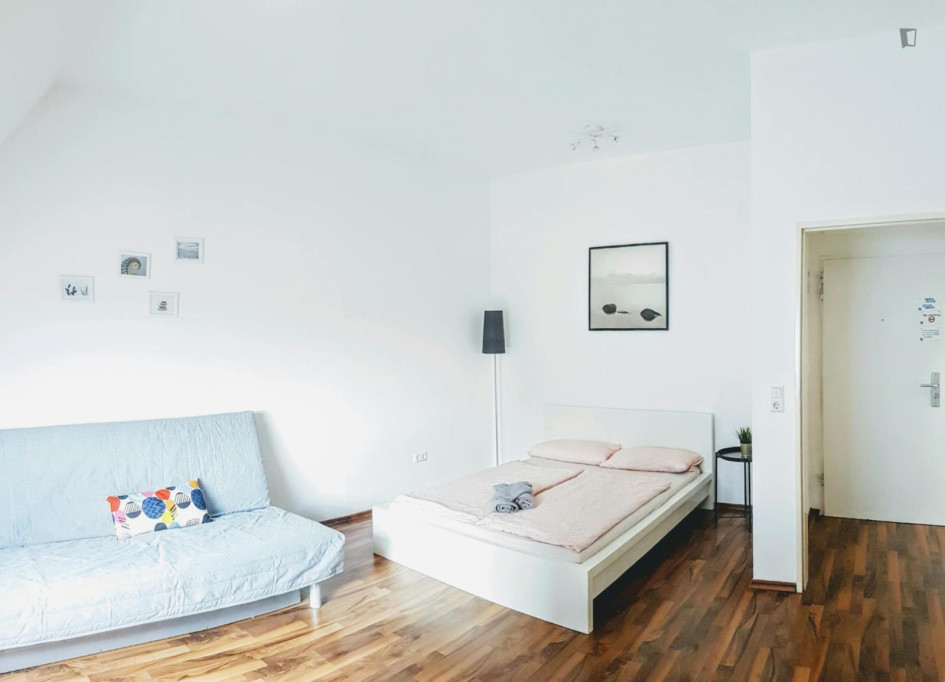 Very nice studio in the centre of Dortmund - Dortmund - chambre - ImmoJeune