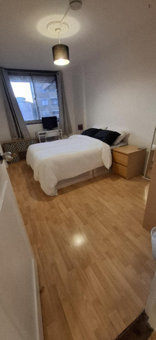 Comfy Double Bedroom close to London School of Economics and Political Science - London - chambre - ImmoJeune